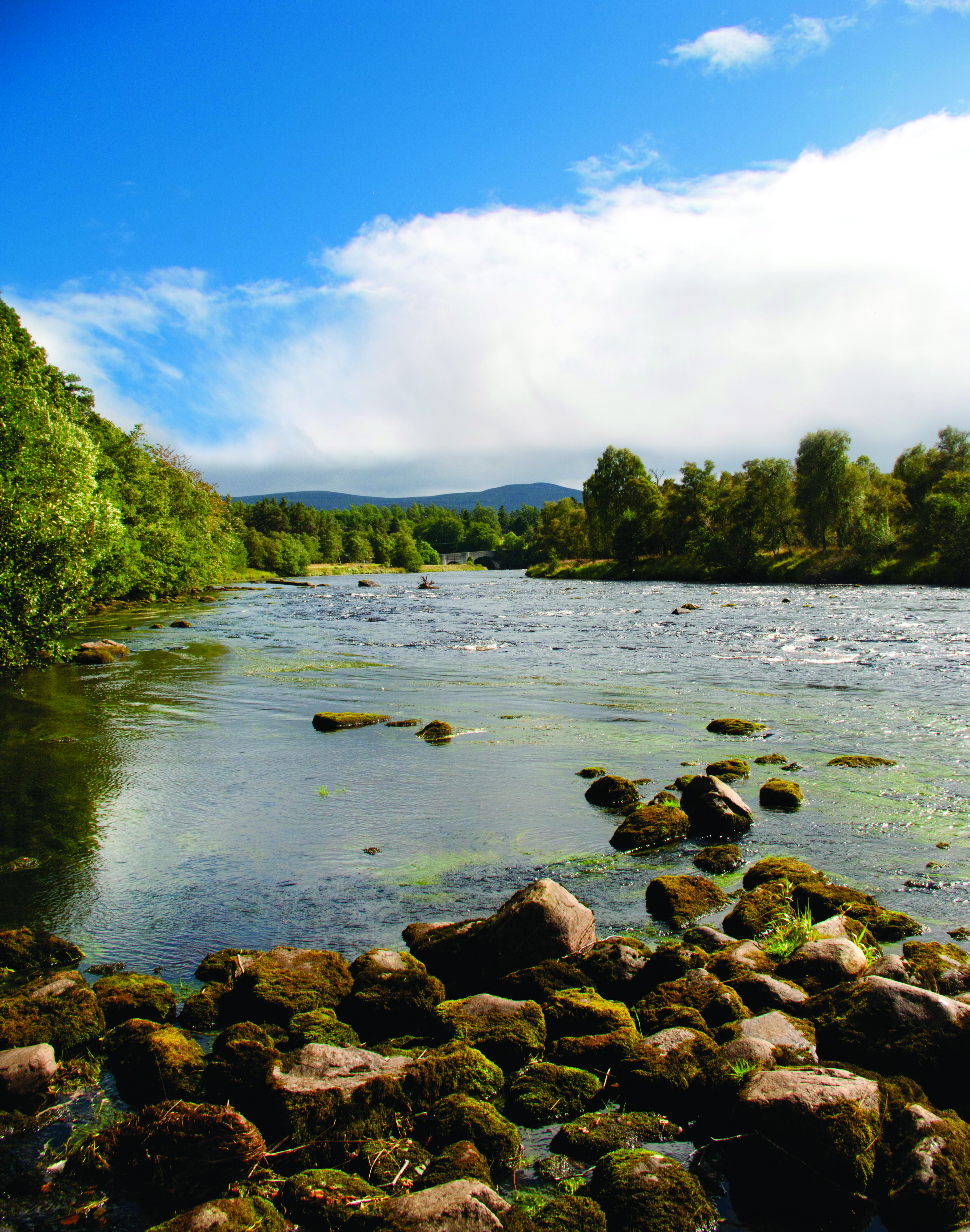 Craiglynne Hotel Grantown-on-Spey Dış mekan fotoğraf